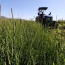 펫코노미 이미지