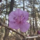 260321 남해 응봉•설흘산 이미지