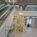 대신 | 여의도 초밥 맛집 대신 사위식당 다녀온 후기 여의도 IFC 맛집