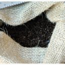 카페아이노스 이미지