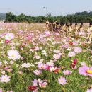 장동 계족산마을 이미지