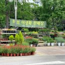 시장꽃도소매 이미지