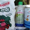 제일방제 - 연천군 | 제일방제