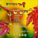 이천약초건강원