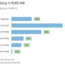 우리집의모든것 스포츠한국