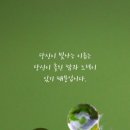주월로 이미지