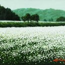 메밀꽃필무렵 이미지