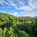 유승건기산업㈜ | 부산전원주택매매, 퇴근 후 나는 숲속으로 돌아온다.