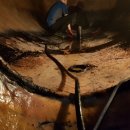 세정 사우나 이미지