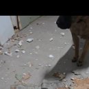 인석농장 이미지