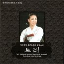 술비 이미지