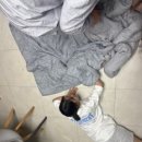 루엔 펜션 | 가평 저렴한 애견동반 펜션 루엔풀빌라 패밀리룸