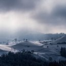 공인서초번역행정사사무소 이미지