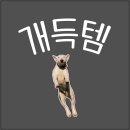 팀일레븐 - 창원시 성산구 해원로374번길 12 | 팀일레븐