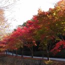 한천자연휴양림 이미지