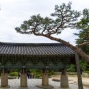 금정중학교 | 부산금정산범어사의역사