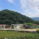 호두나무민박 이미지