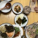 기쁨목장 | 제주여행ㅣ5일차. 보말죽, 금오름, 성이시돌목장, 카페 잔물결