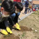 남천초등학교 이미지