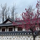 광덕게스트하우스 이미지