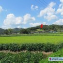 기암서원機巖書院 이미지