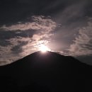 머루다래 이미지