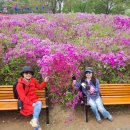 4월16일(일)철쭉꽃동산+생태공원 이미지