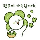 벨루가아뜰리에 이미지