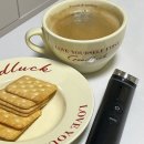 [2025년 3월] 궁전과 하룰라라 빼고 다 다녀온 3월