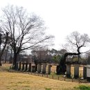 유당공원 내 비군 이미지