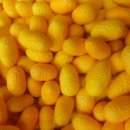 태양농장 이미지