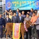 농업경영인연합 송아지 기증(사진1) 이미지