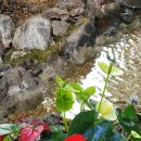 너릿재묵은지 이미지