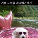 가평노팅힐계곡애견펜션