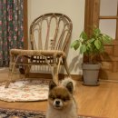 생각나네민박 이미지