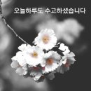 [백석]스마트폰활용지도사 이미지