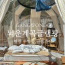 스테이 마지 | 강원도 평창 ‘뇌운계곡 글램핑’ (feat. 투명돔스테이 4)