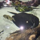 리버퀘스트 이미지