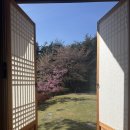 [경주 숙소]내돈내산 고즈넉한 곳에서 완벽한 힐링 경주 가성비 한옥펜션 대만족후기