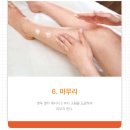 하우스랜드 이미지