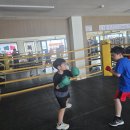 전진만 챔피언 복싱클럽 | 천안복싱 제대로 배우려면? 전 한국챔피언이 직접 지도하는 두정복싱클럽