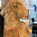 밴스동물병원 이미지