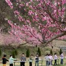 한천농장 이미지