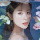 나비나