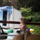 다모아민박 이미지