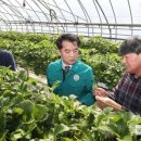 인한농장 이미지