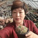 다육식물놀이터