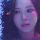 물들이다 사진관 - 어항 컨셉사진 찍으러 숙대사진관 가 본 후기