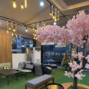 안경백화점 터미널점 이미지