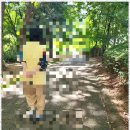 수원-1319 이미지